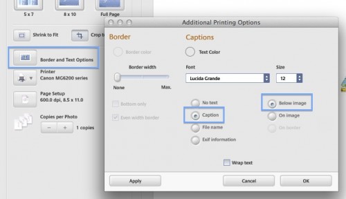 picasa-captions-under-photo-setting